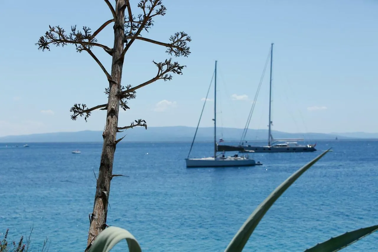 Charming Modern House With The New Swimming Pool - Apartment Maya 2 Trogir